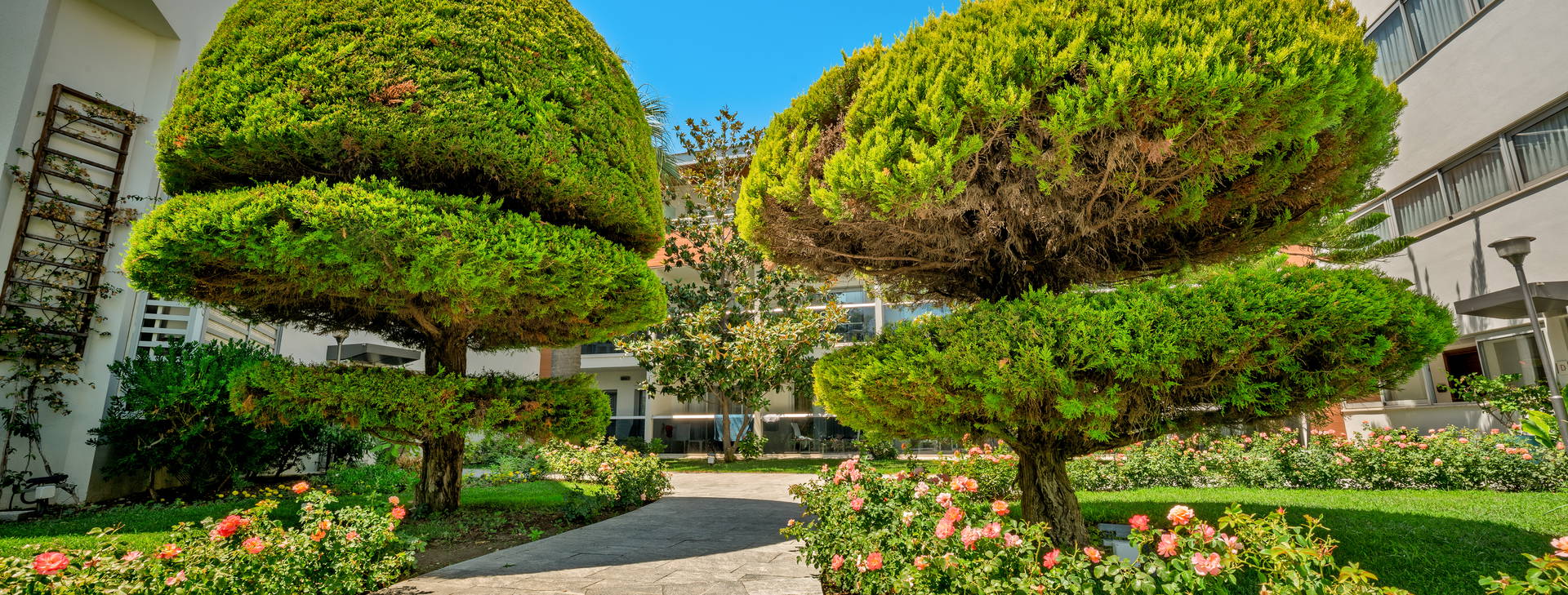 Palm Wings Kusadasi Obrázek13