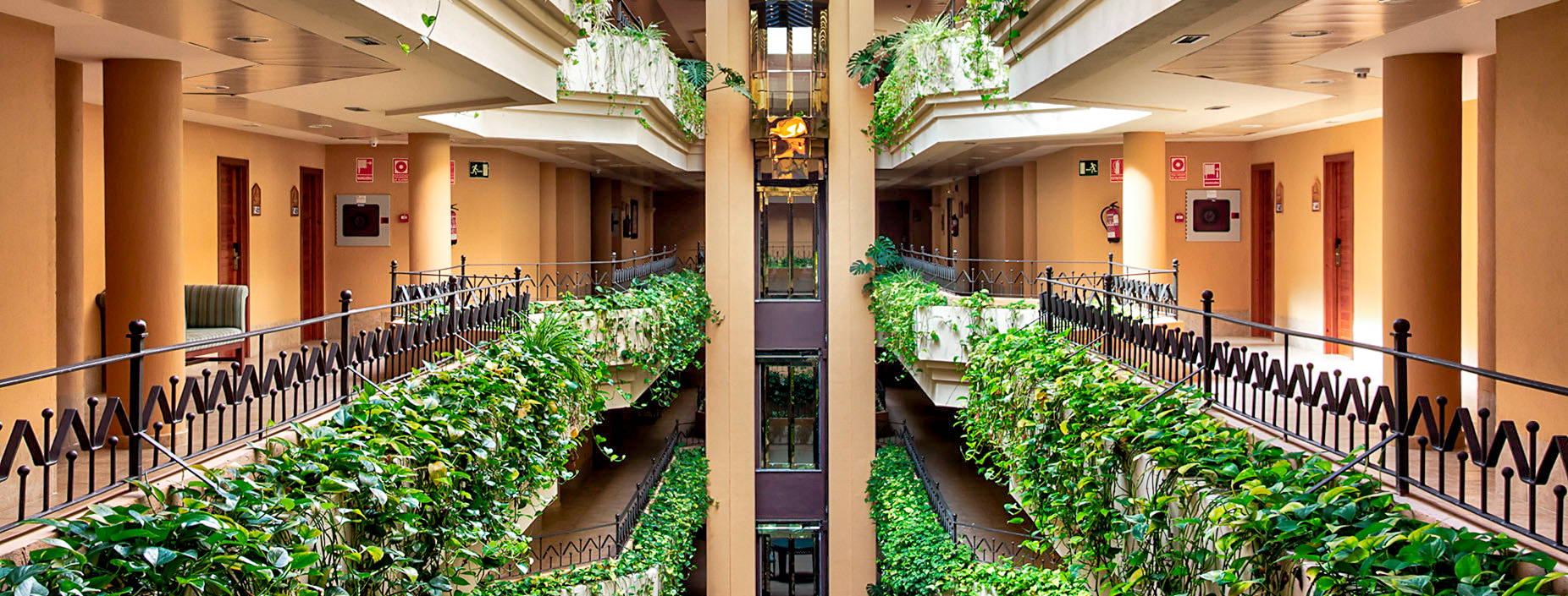 Playacanela Obrázek43