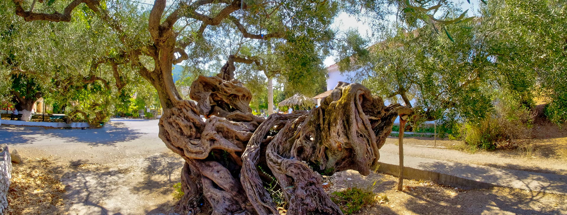 Ubytování GRF Obrázek3