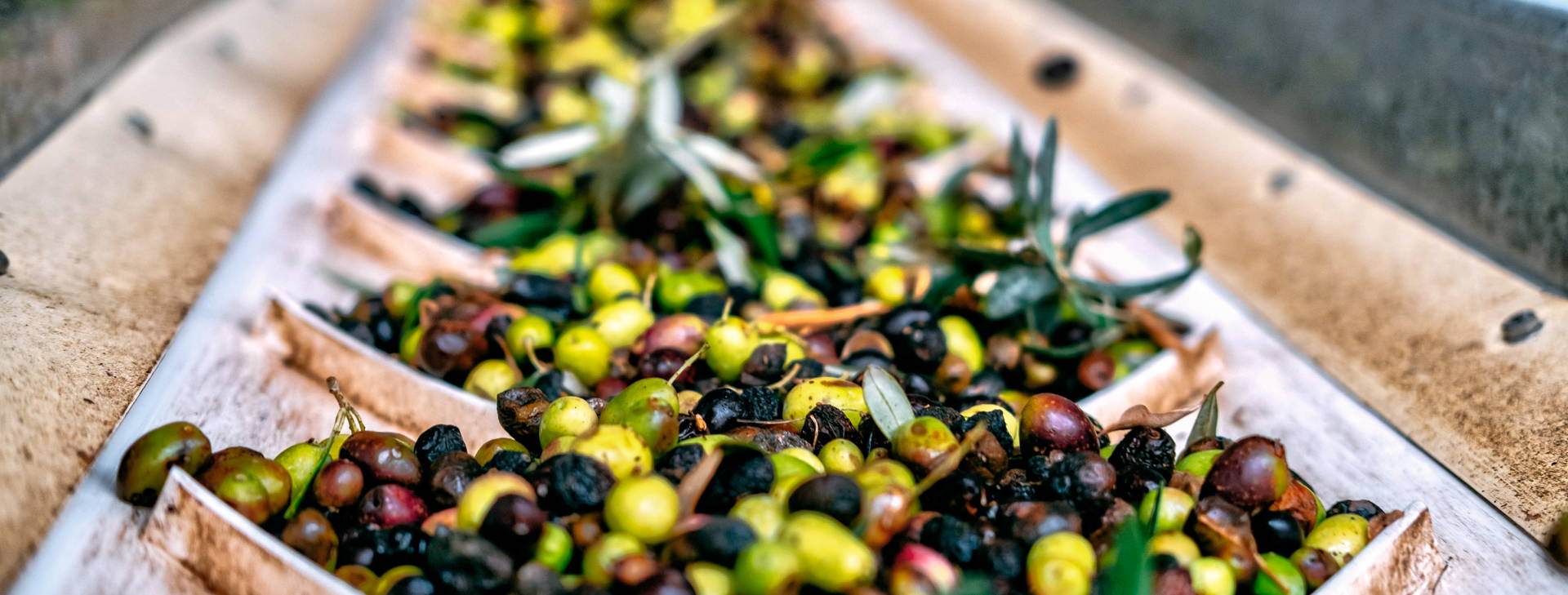 Ubytování GRF Obrázek13