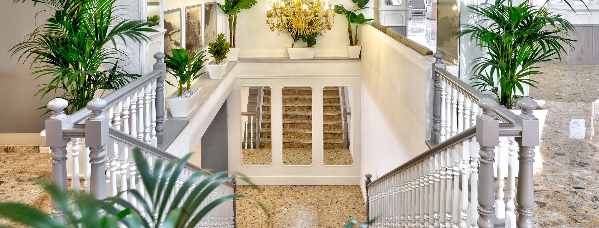 Panoramica Garden Obrázek19