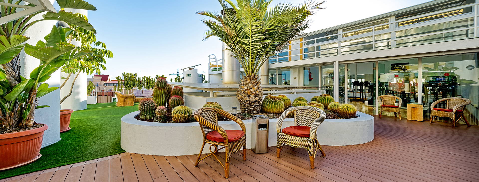 Bull Astoria Obrázek0