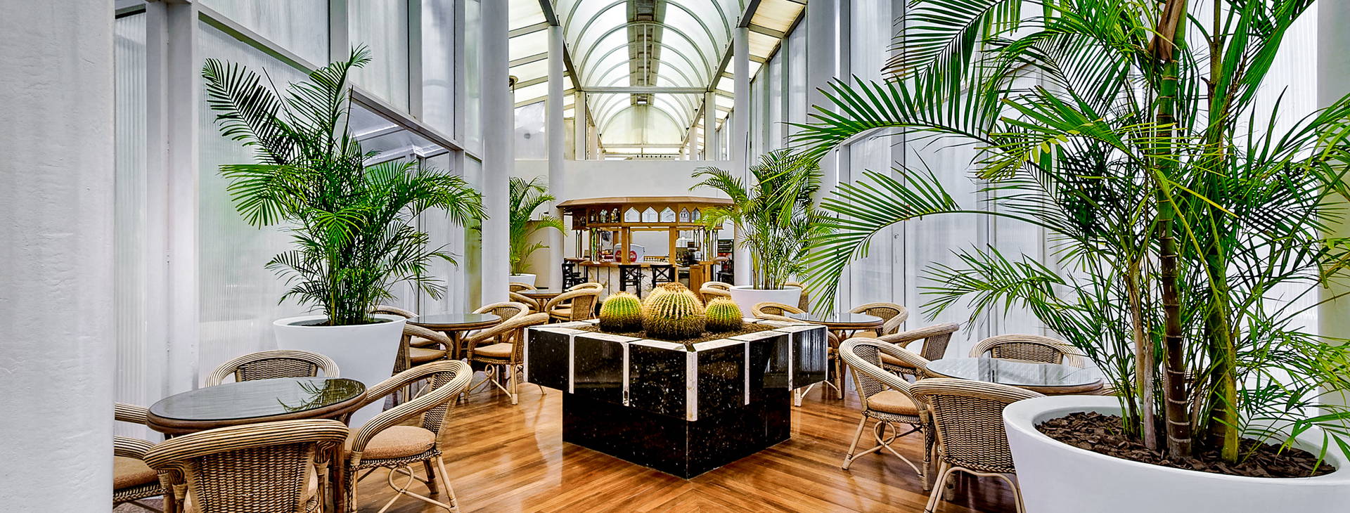 Bull Astoria Obrázek14