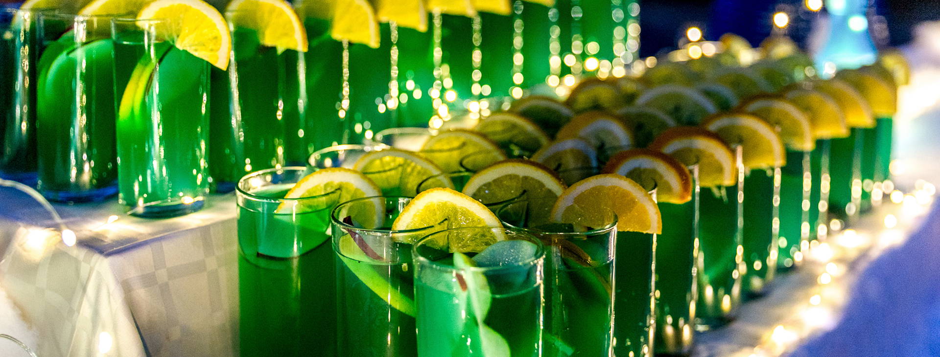 Kalina Garden Obrázek12