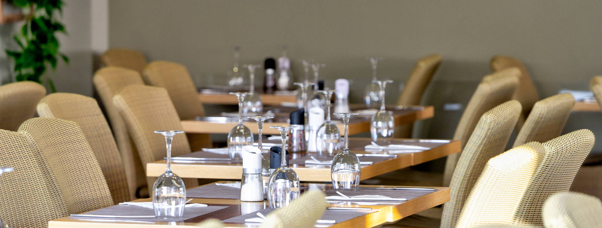 Flegra Palace Obrázek18