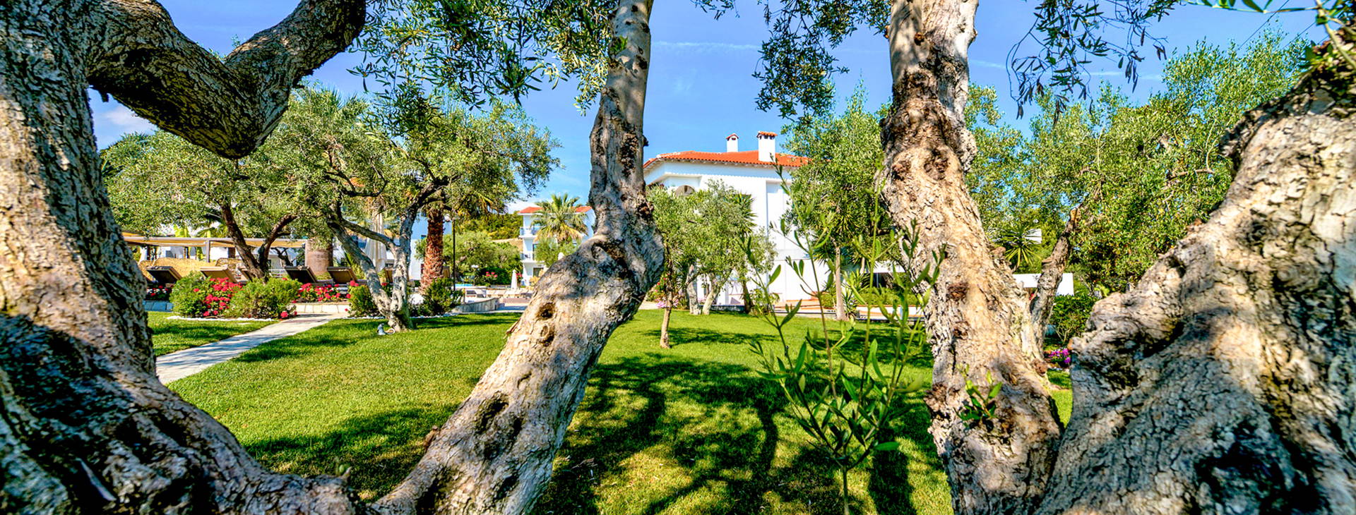 Flegra Palace Obrázek6