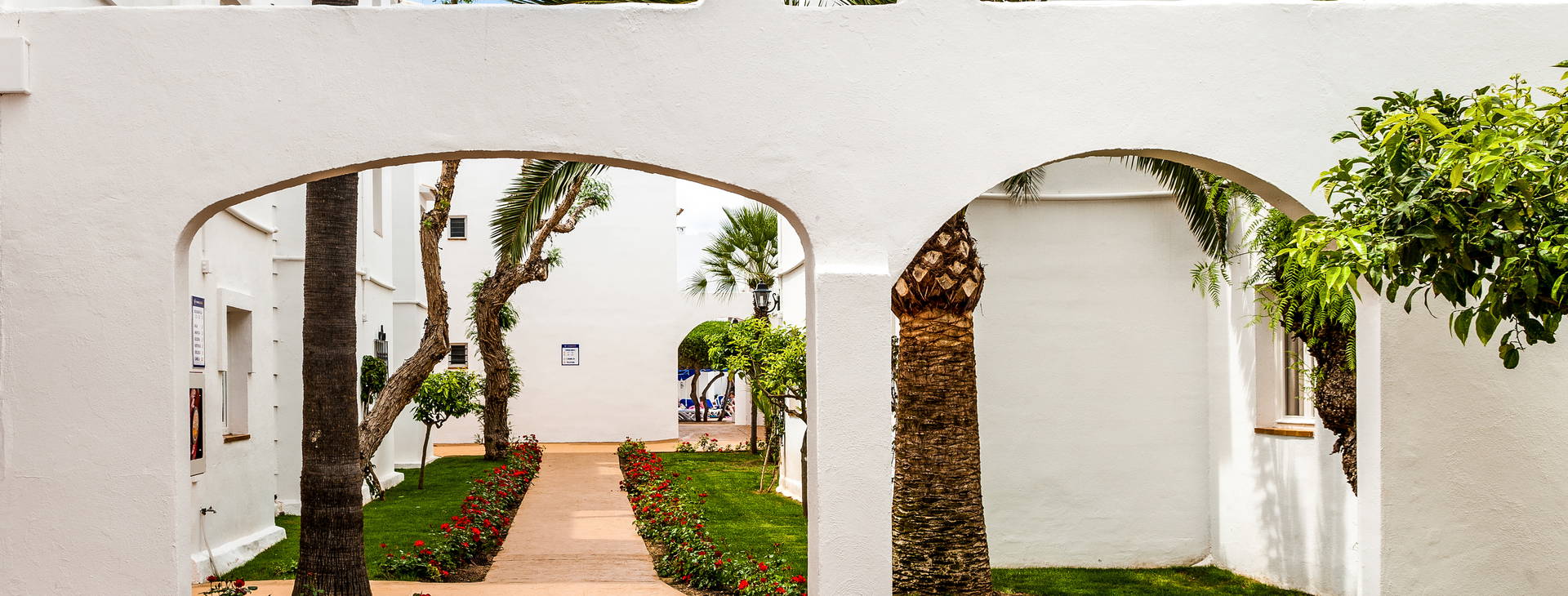 Globales Bouganvilla Obrázek9