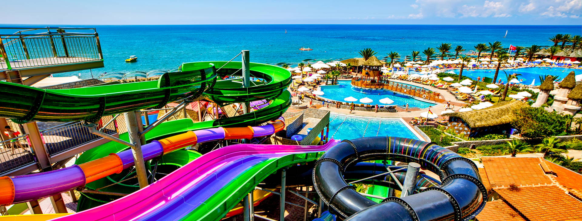 Papillon Belvil Obrázek0