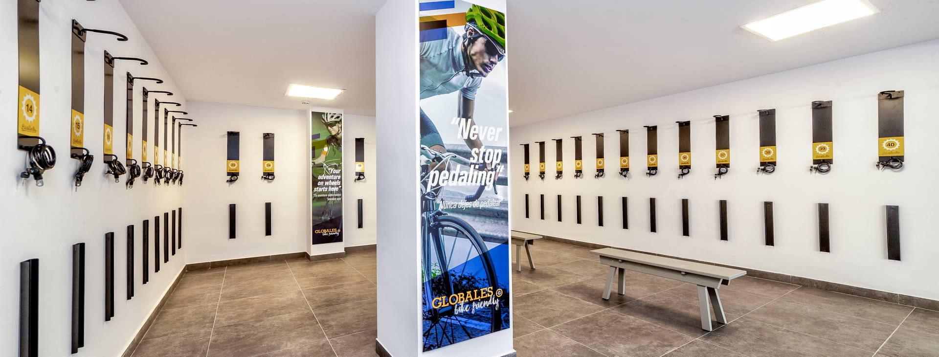 Globales Mimosa Obrázek26