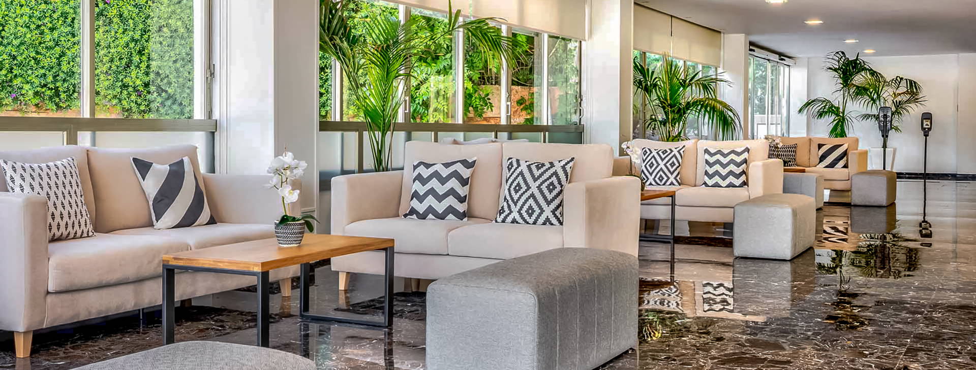 Globales Mimosa Obrázek24