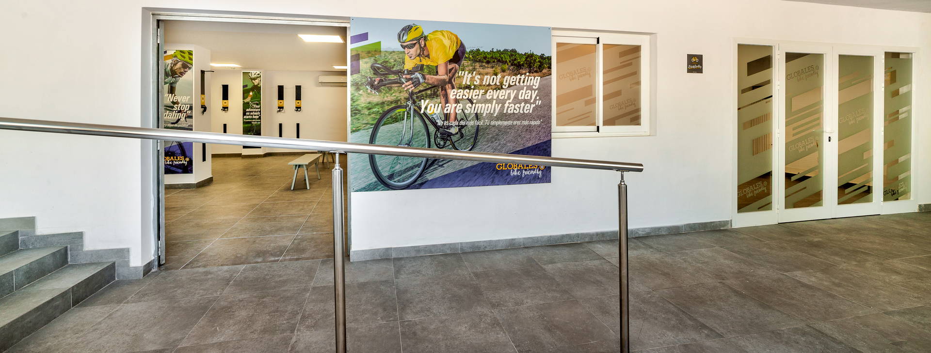 Globales Mimosa Obrázek27