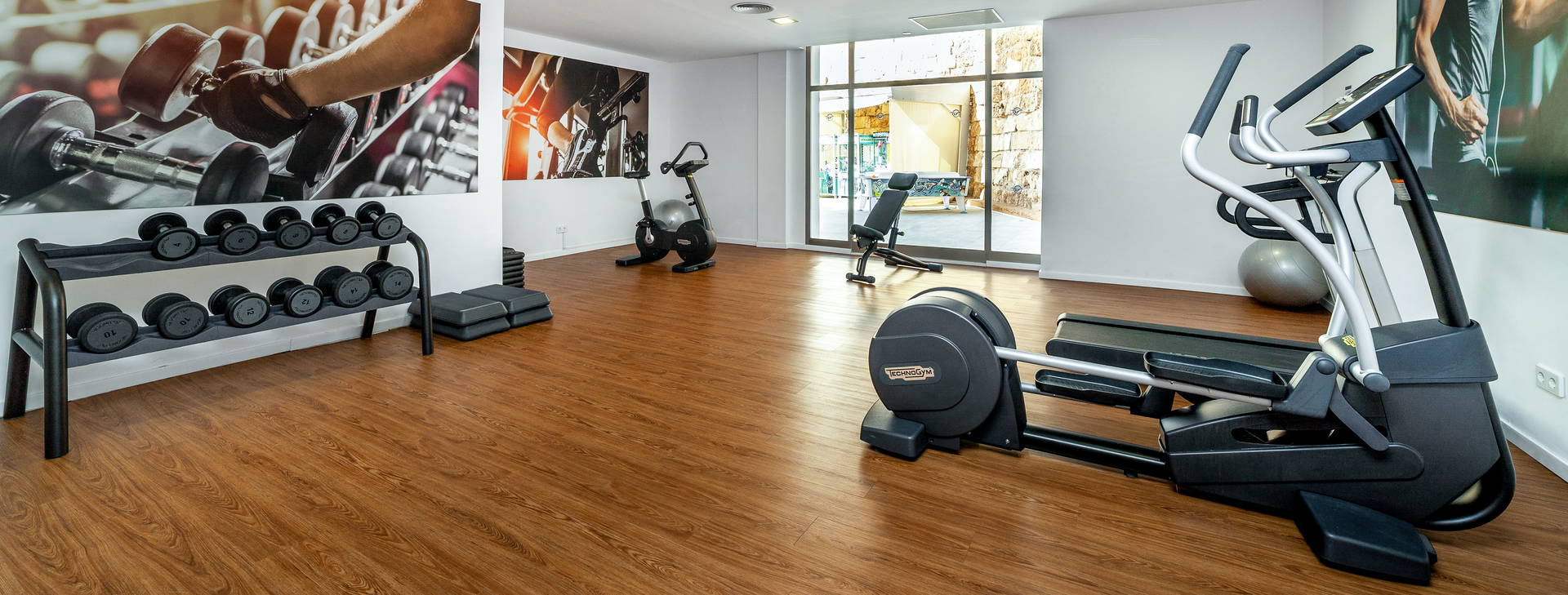 Globales Mimosa Obrázek32