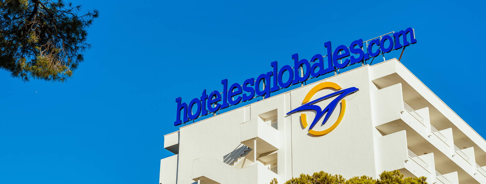 Globales Mimosa Obrázek2