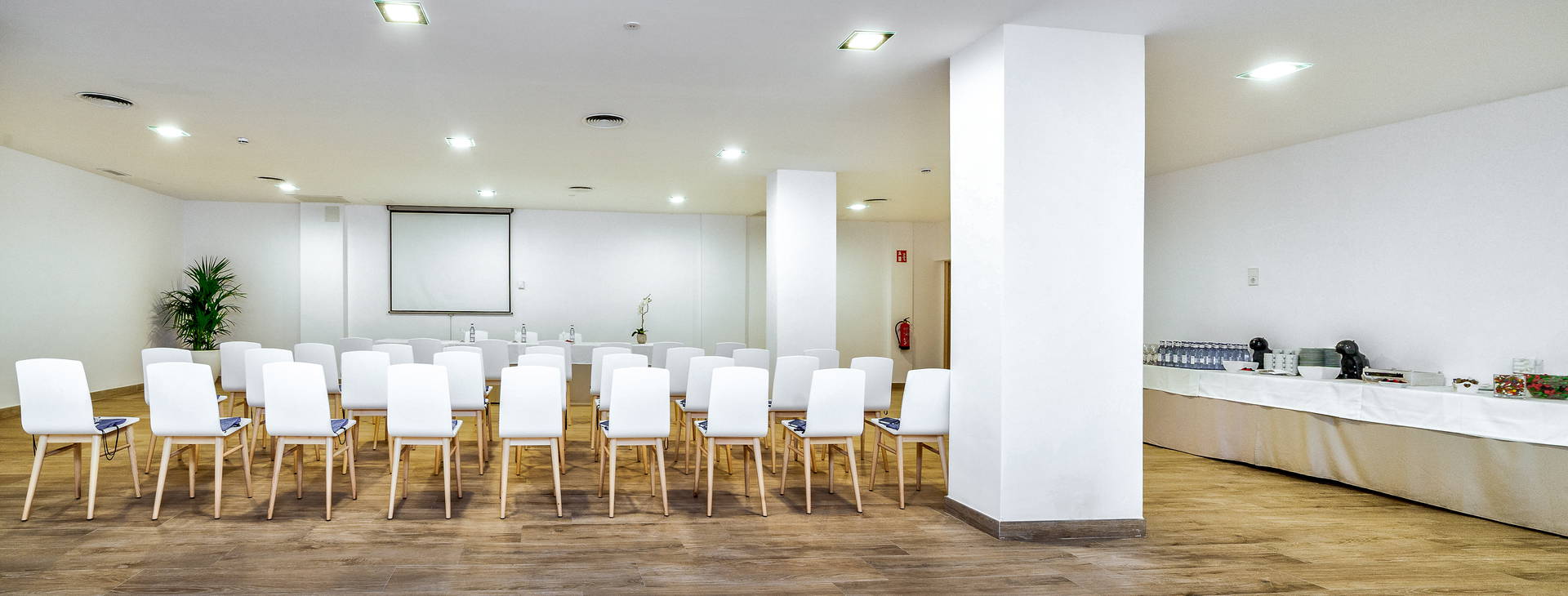 Globales Mimosa Obrázek33