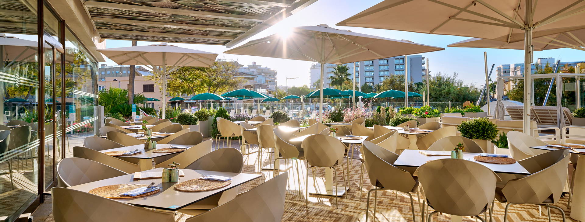 AluaSoul Palma Obrázek32