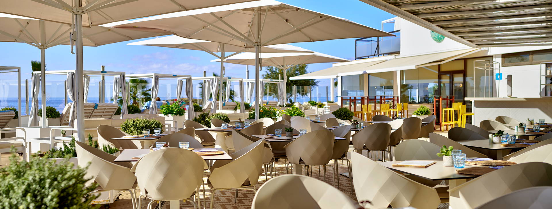 AluaSoul Palma Obrázek33