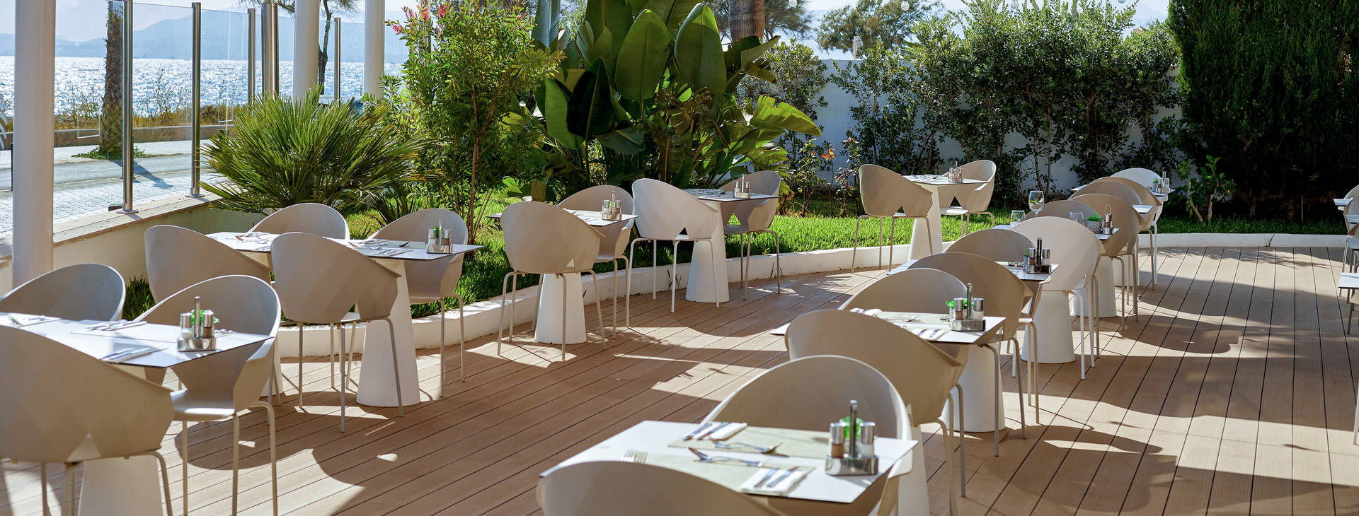 AluaSoul Palma Obrázek38