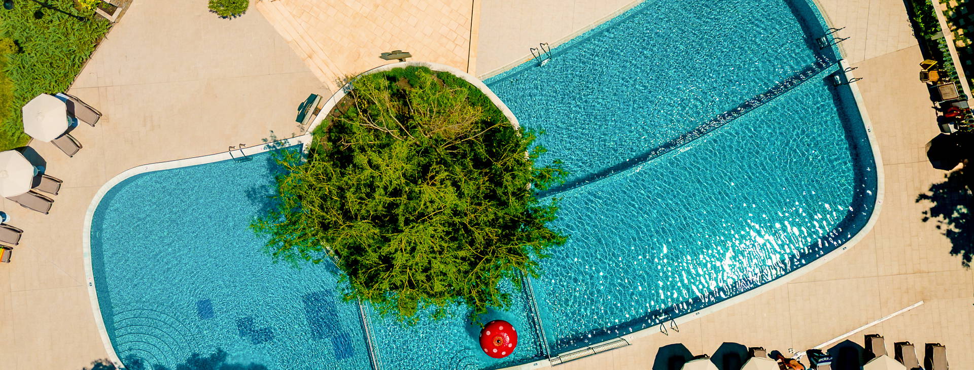 Festa Via Pontica Obrázek8