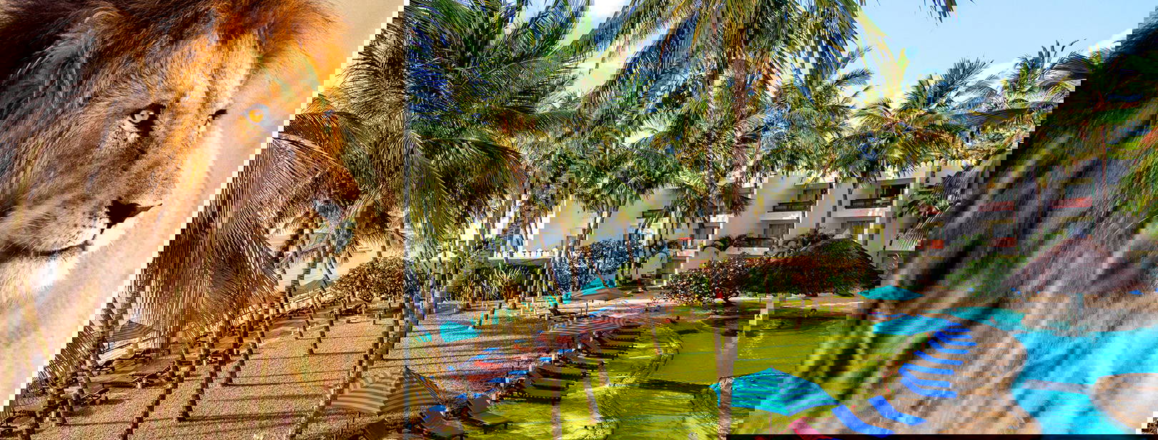 Bamburi Beach (3 noci + poznávací část 4 noci) Obrázek2