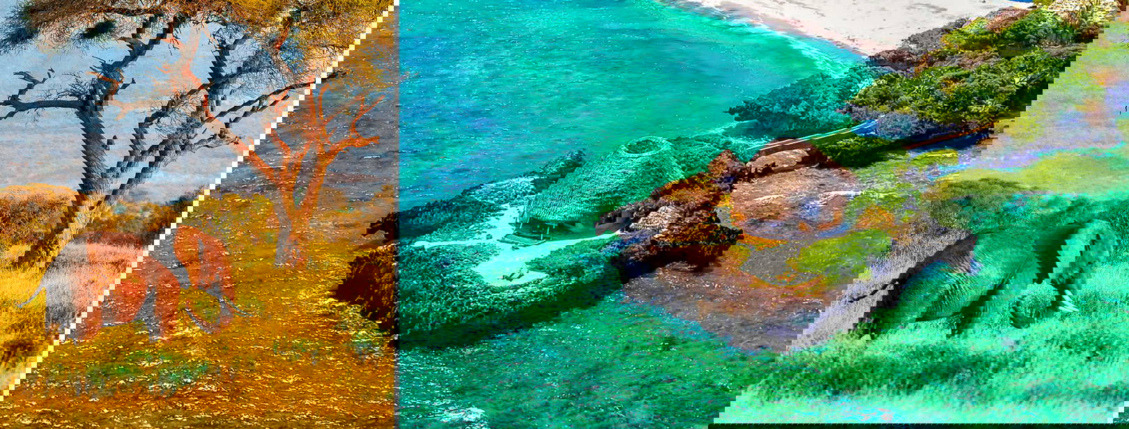 Chale Island Resort (3 noci + poznávací část 4 noci) Obrázek0