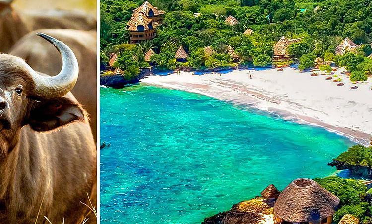 Chale Island Resort (4 noci + poznávací část 3 noci)-obr