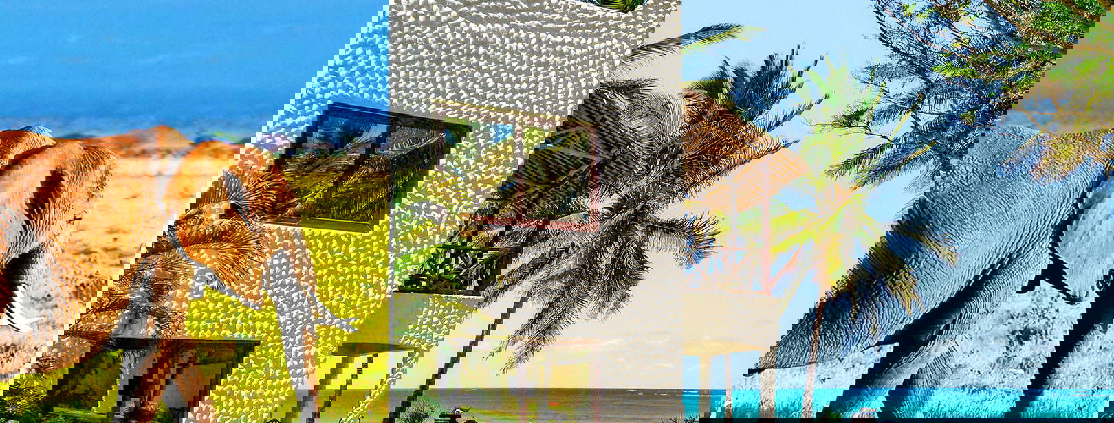 Jacaranda Indian Ocean Beach Resort (4 noci + poznávací část 3 noci) Obrázek0