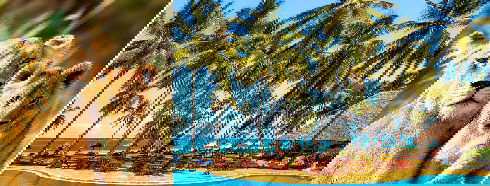 Diani Sea Lodge (3 noci + poznávací část 4 noci) Obrázek0