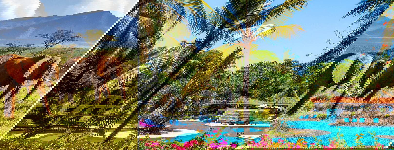 Diani Sea Resort (3 noci + poznávací část 4 noci) Obrázek0