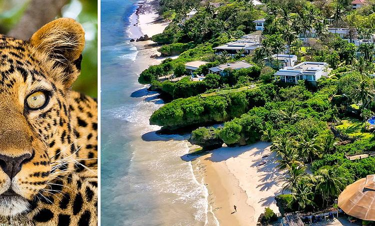 Leopard Beach Resort & SPA KST-obr