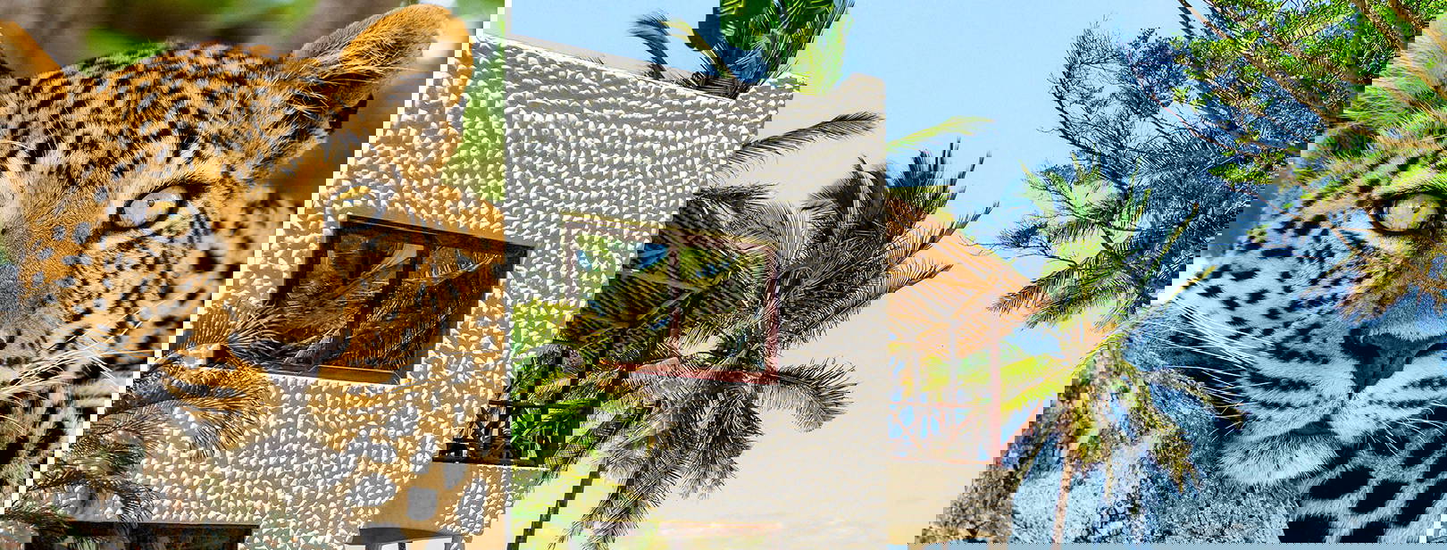 Jacaranda Indian Ocean Beach Resort (3 noci + poznávací část 4 noci) Obrázek0