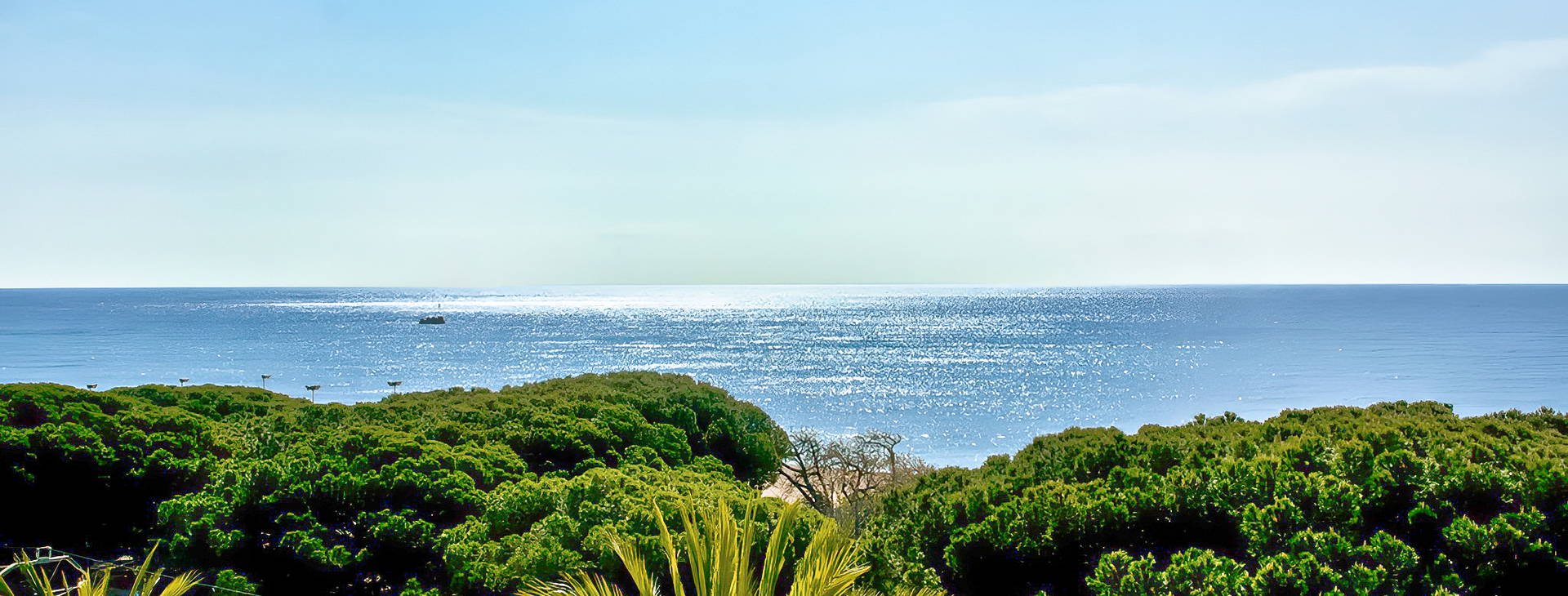 Europa Splash & Spa Obrázek22