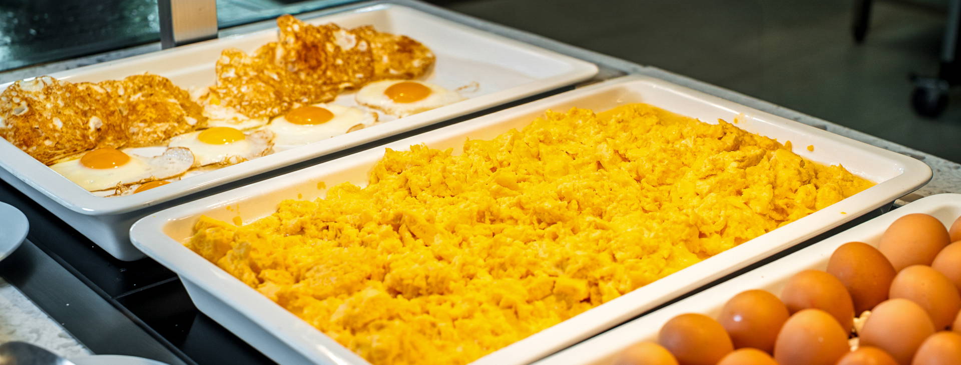 Festa Panorama Obrázek9