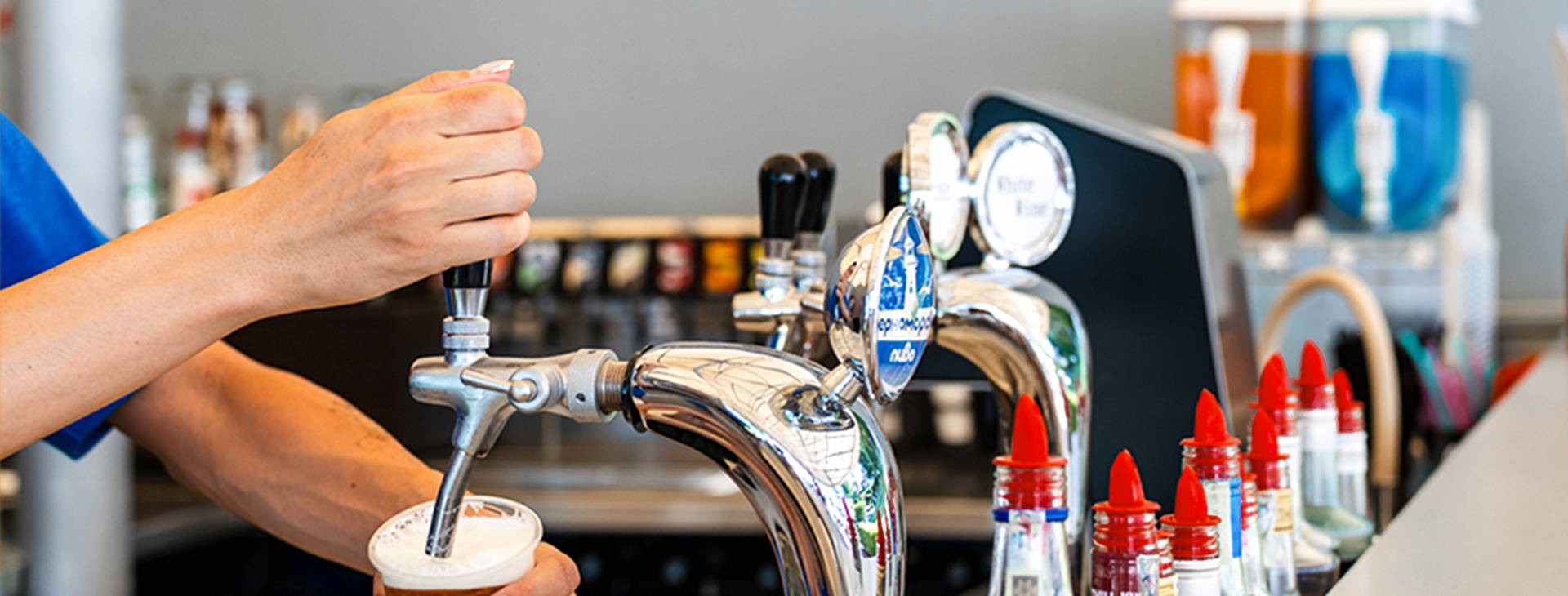 Festa Panorama Obrázek24