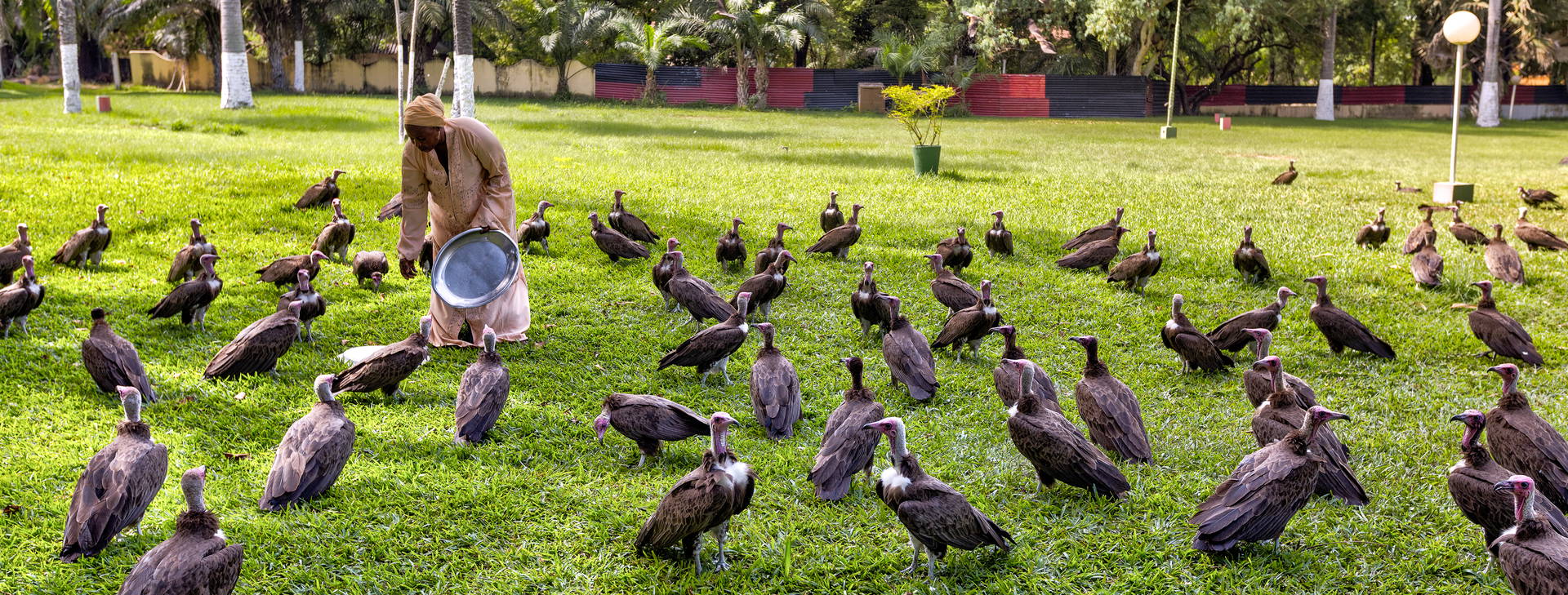 Senegambia Obrázek39