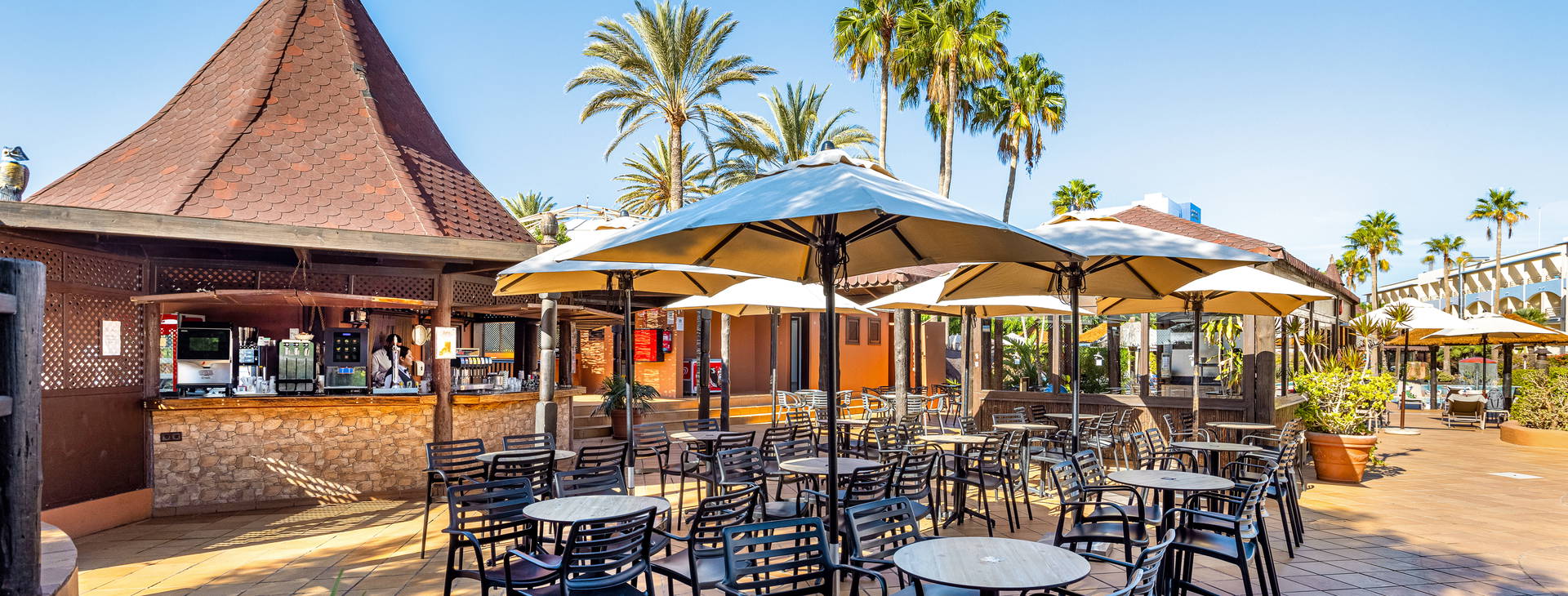 IFA Altamarena Obrázek25