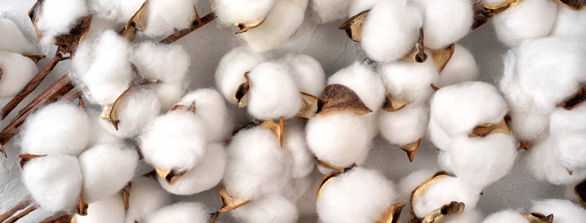 Ubytování CZZ Obrázek16