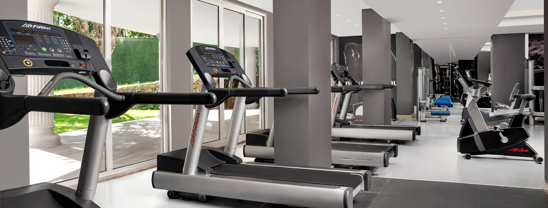 Papillon Belvil Obrázek18