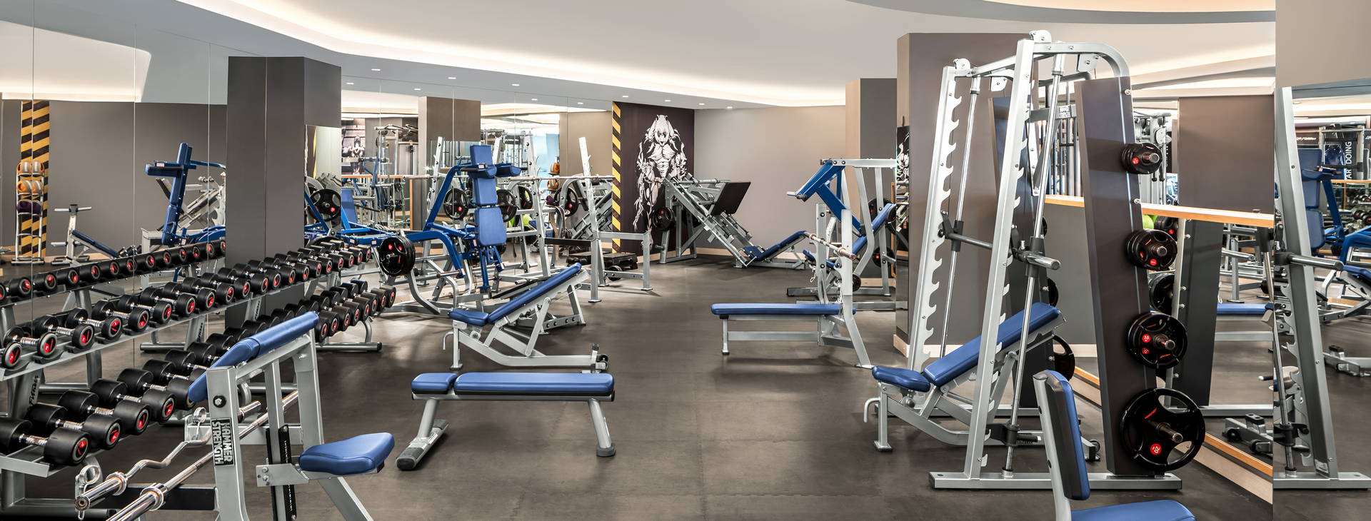 Papillon Belvil Obrázek19