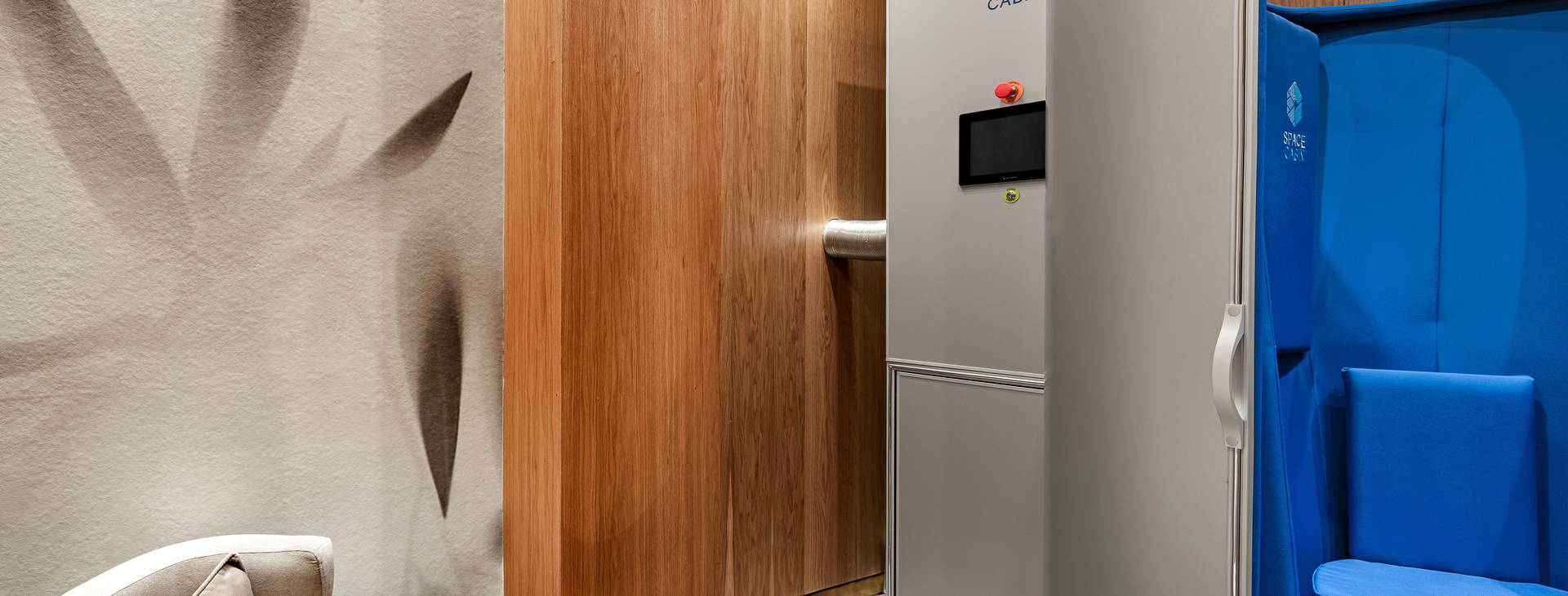 Papillon Belvil Obrázek15