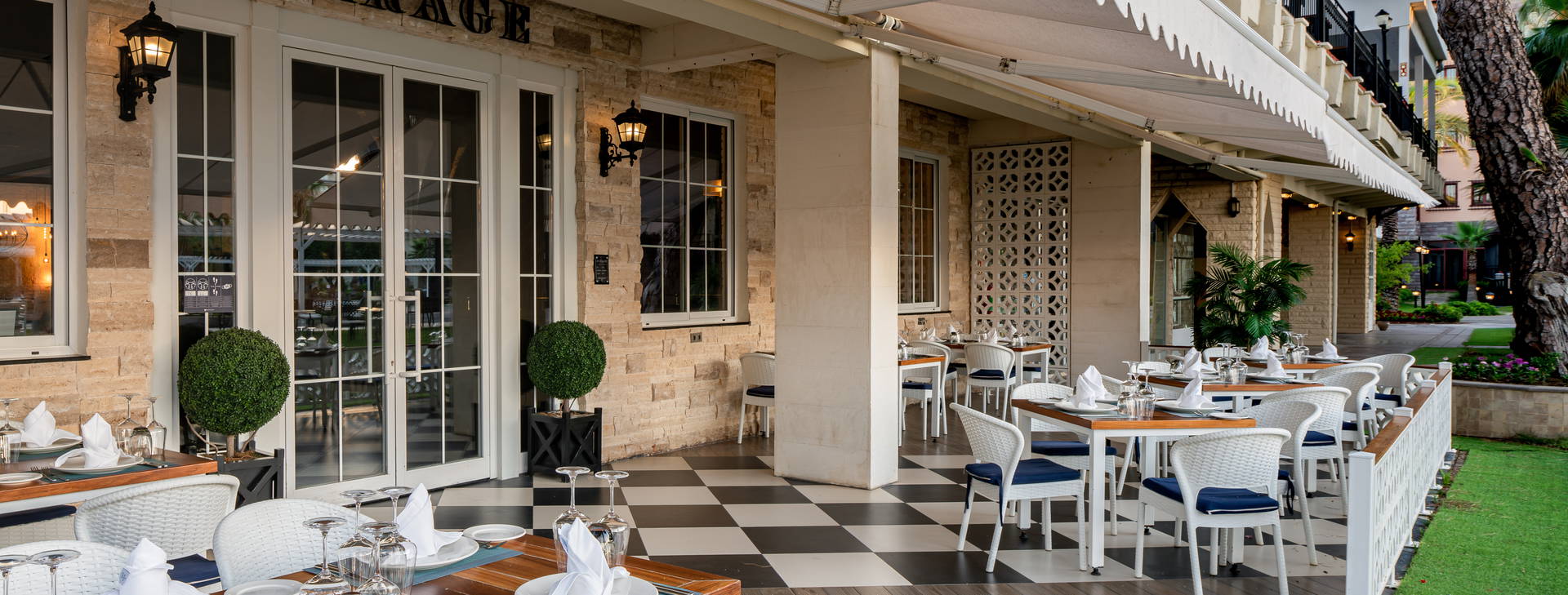 Papillon Belvil Obrázek11