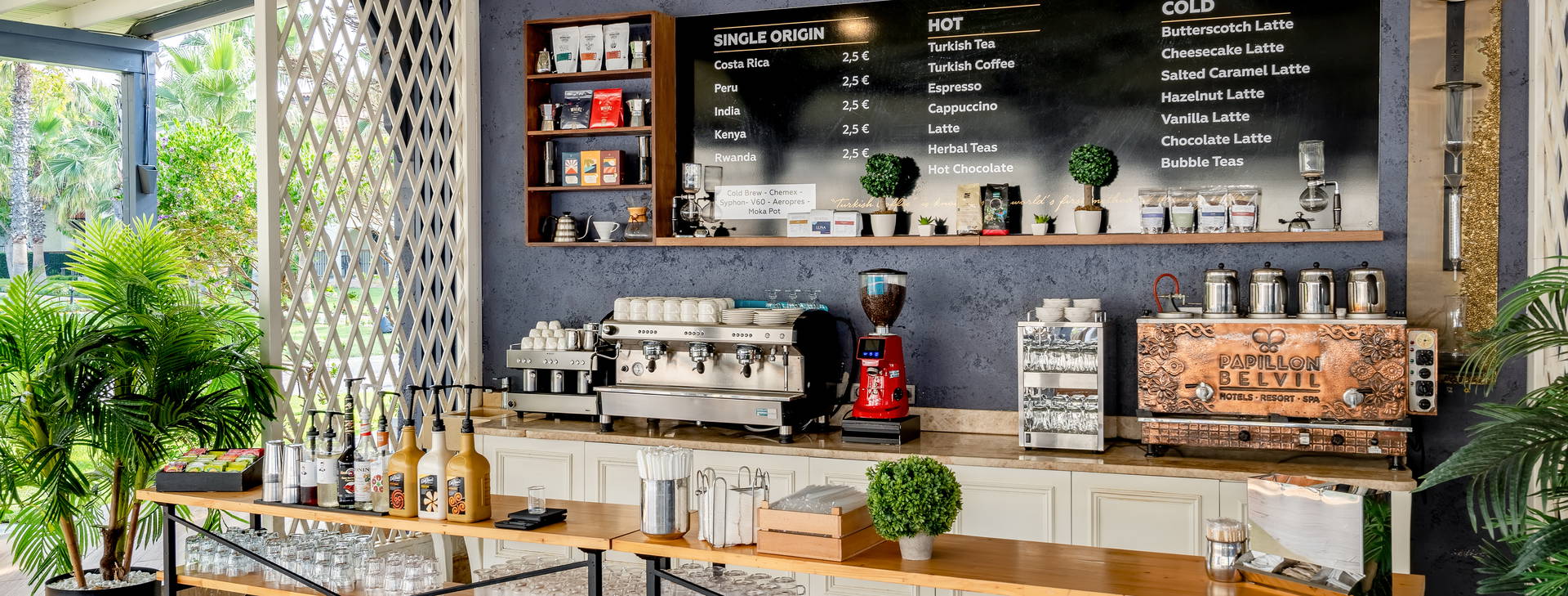 Papillon Belvil Obrázek8