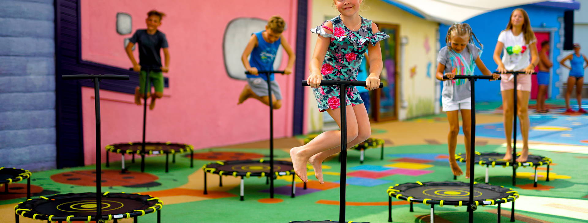 Papillon Belvil Obrázek13