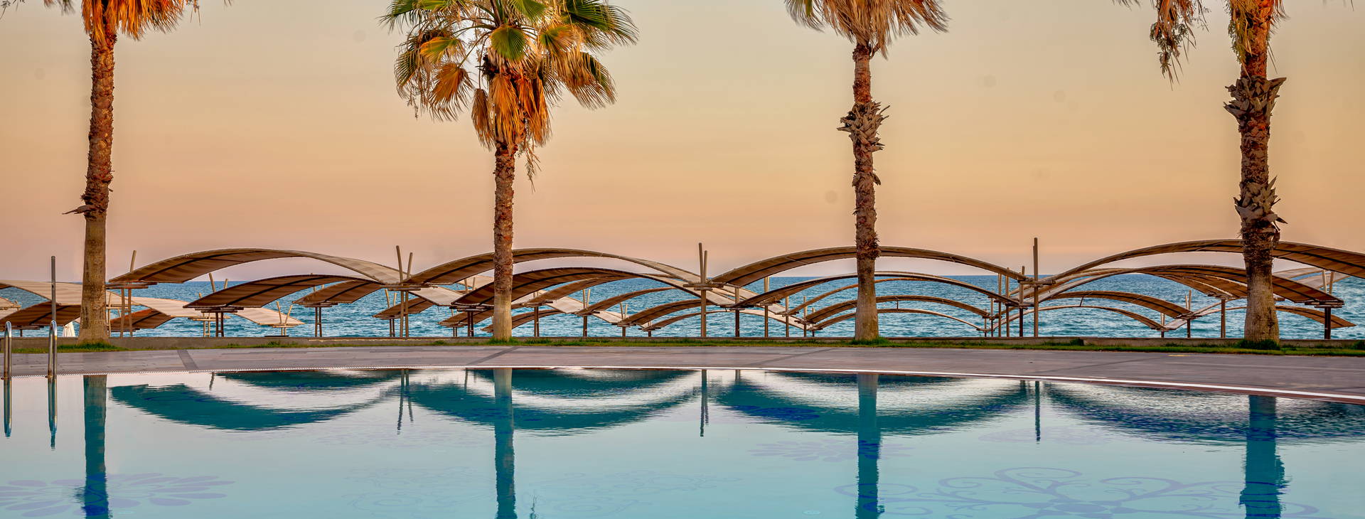 Papillon Belvil Obrázek4