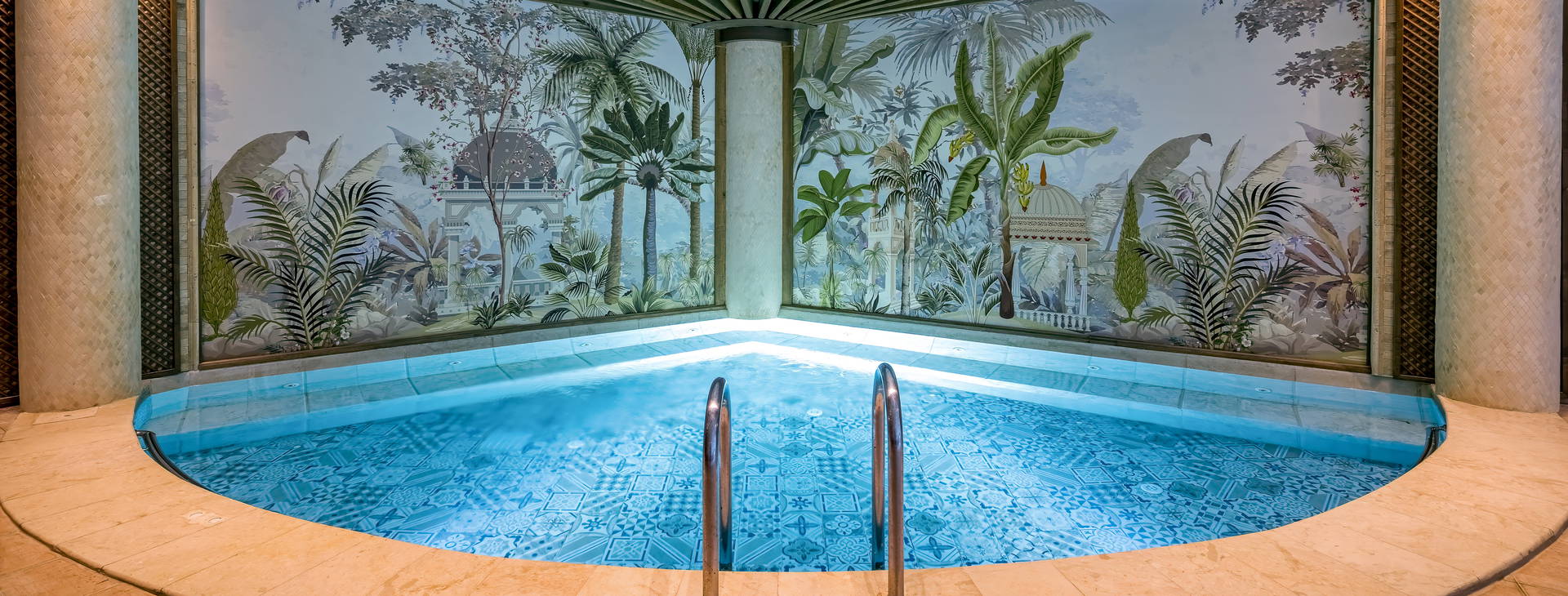 Papillon Belvil Obrázek12