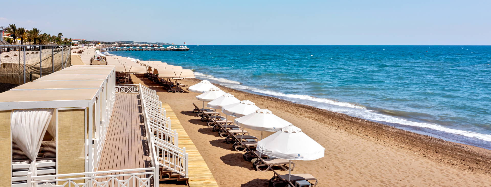 Papillon Belvil Obrázek8