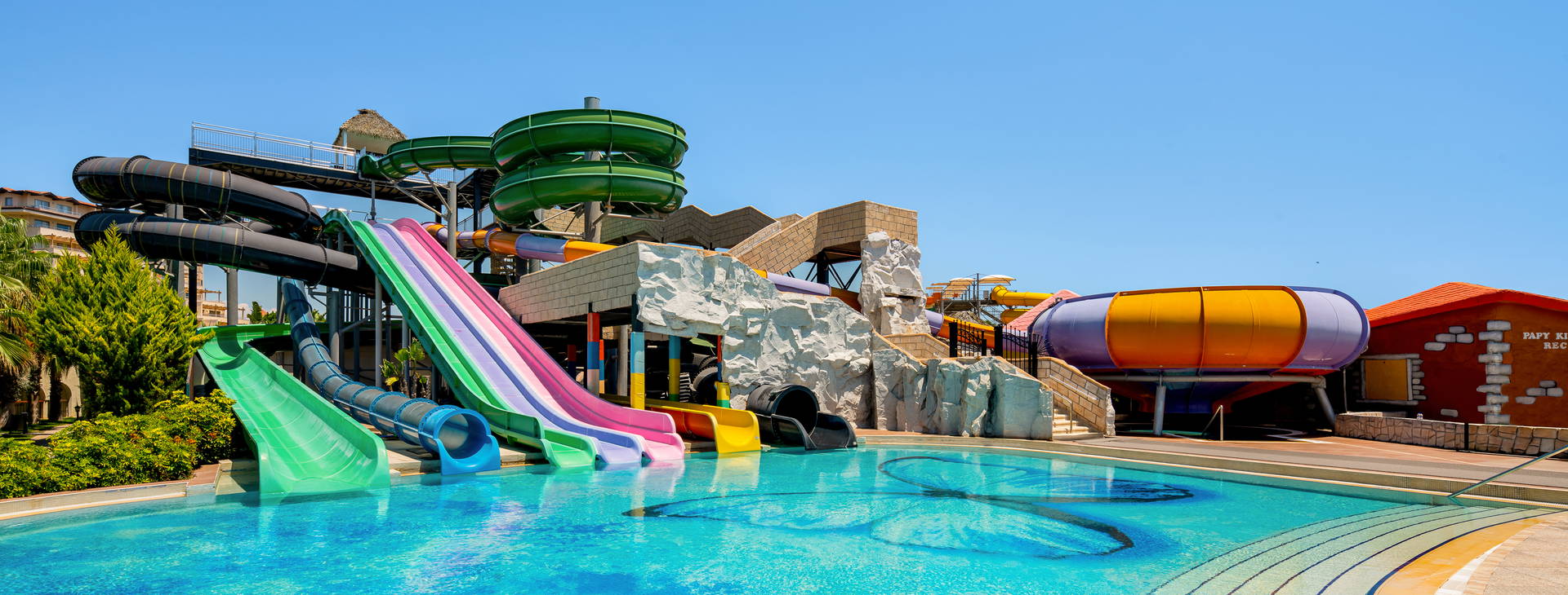 Papillon Belvil Obrázek3