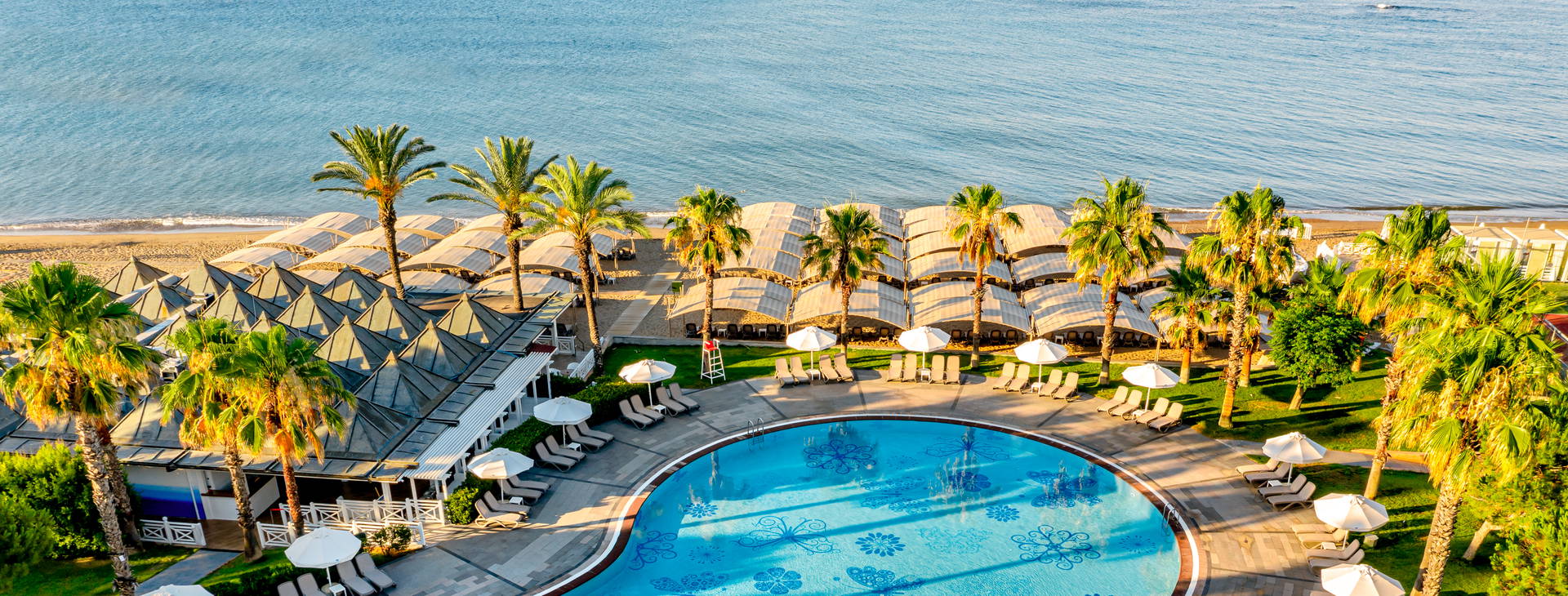 Papillon Belvil Obrázek3