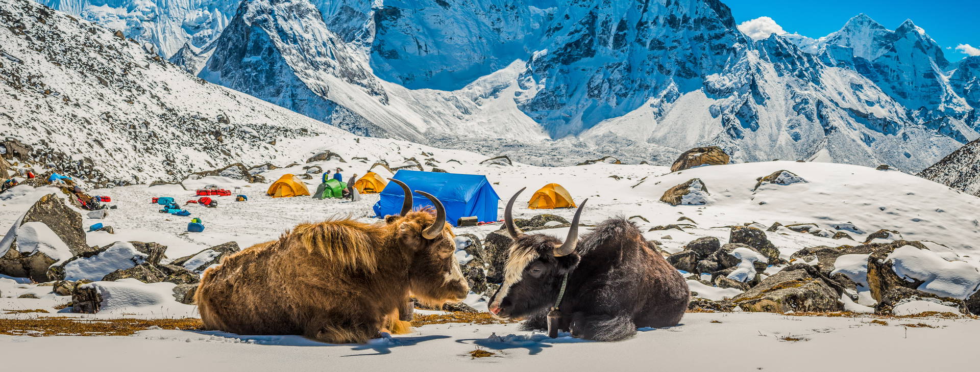 Ubytování IAN Obrázek0