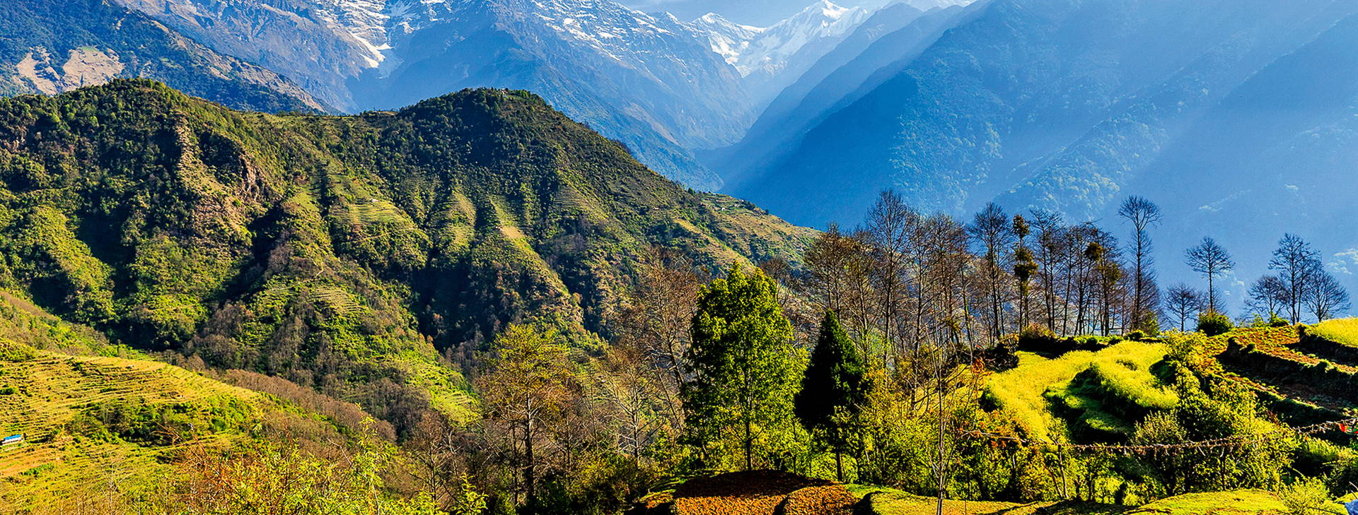 Ubytování IAN Obrázek18