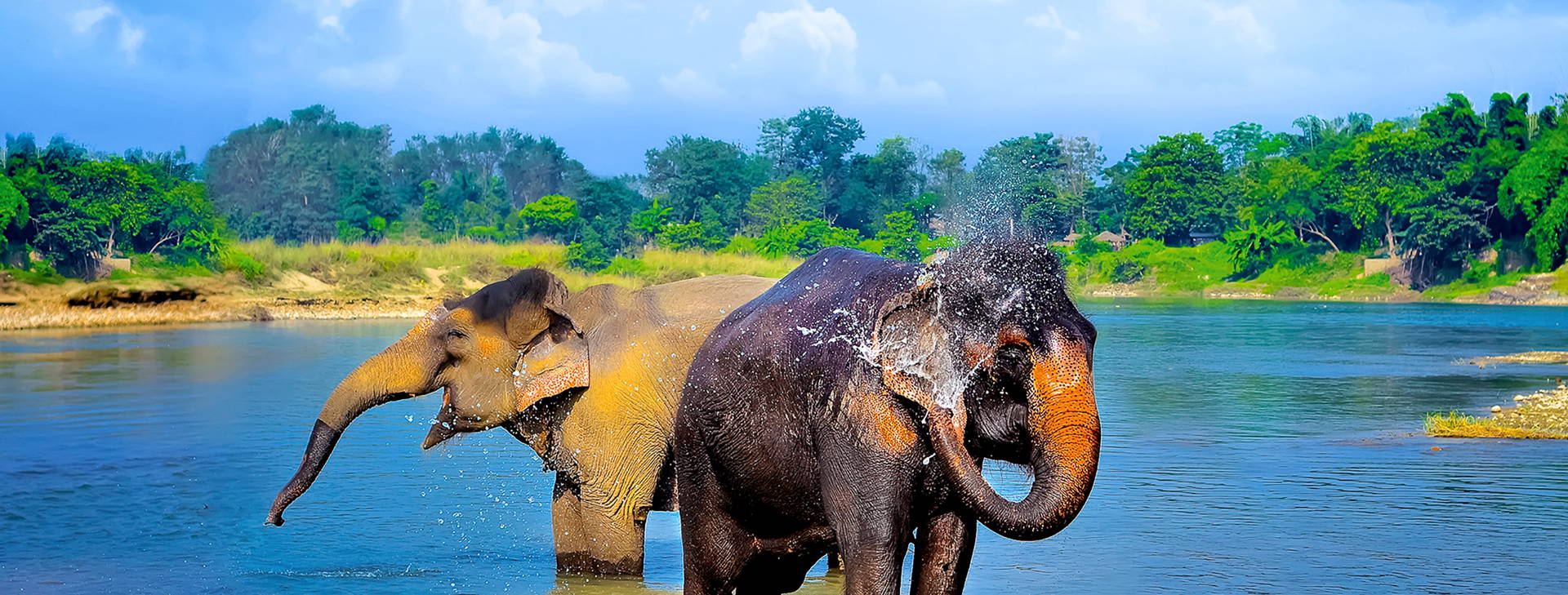 Ubytování IAN Obrázek7